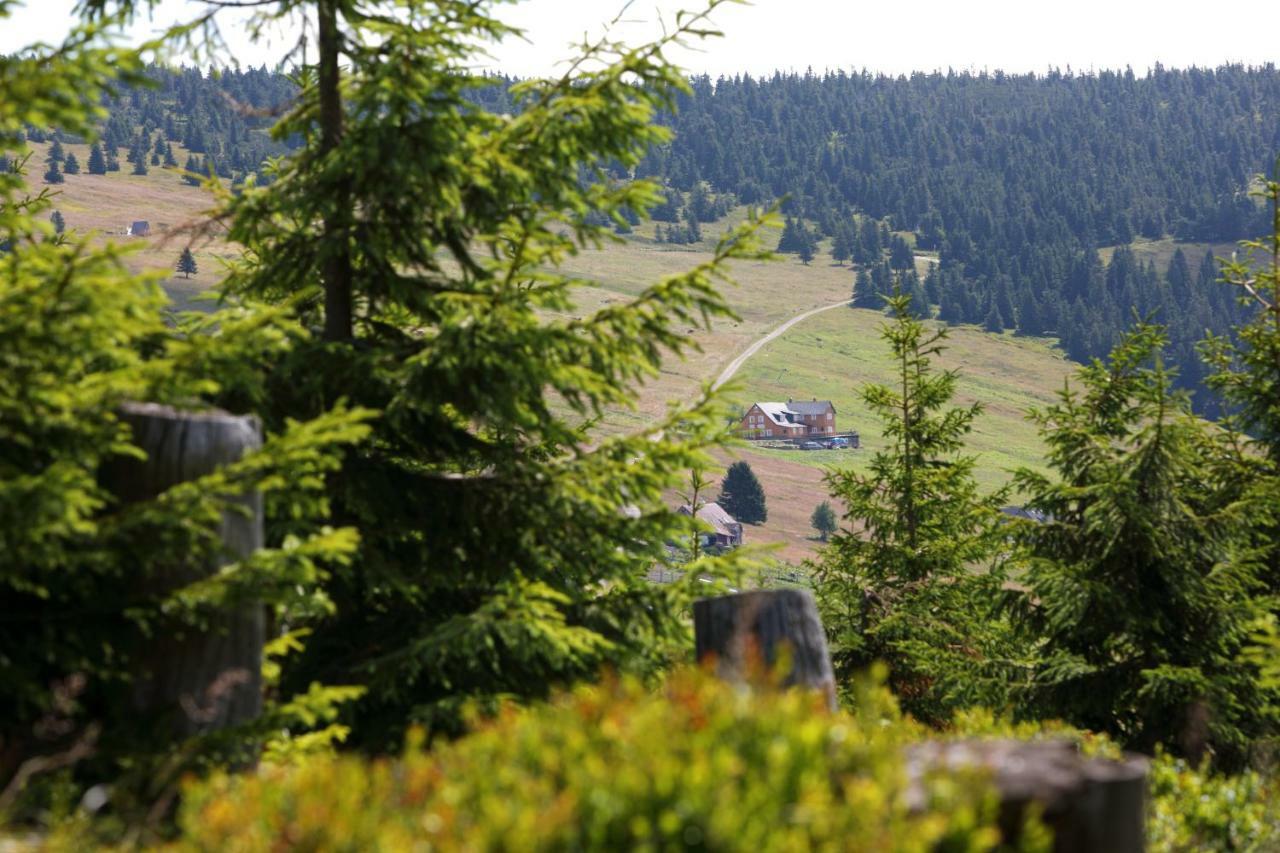 Bouda Klínovka Hotel Špindlerŭv Mlýn Exterior foto