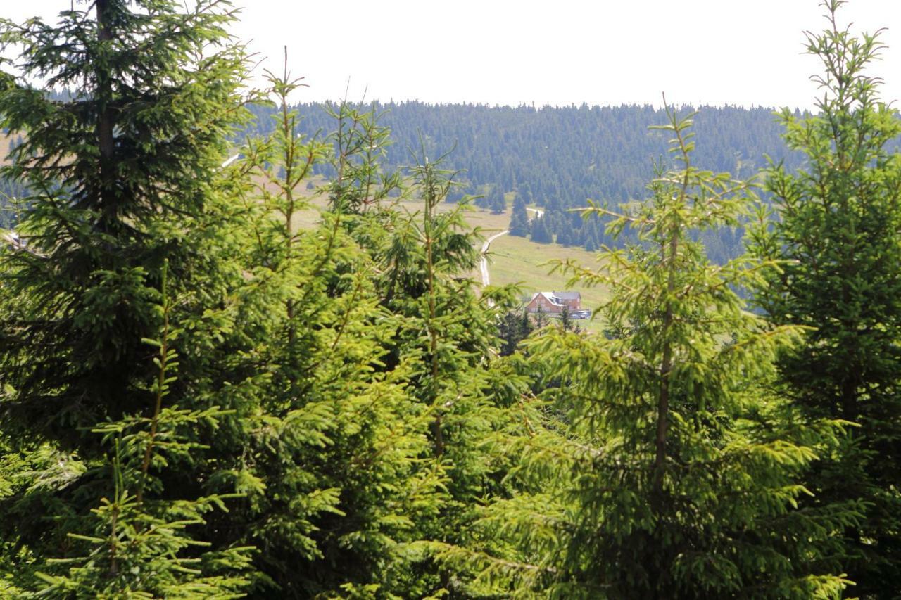 Bouda Klínovka Hotel Špindlerŭv Mlýn Exterior foto